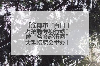 淄博市“百日千万招聘专项行动”暨“省会经济圈”大型招聘会举办