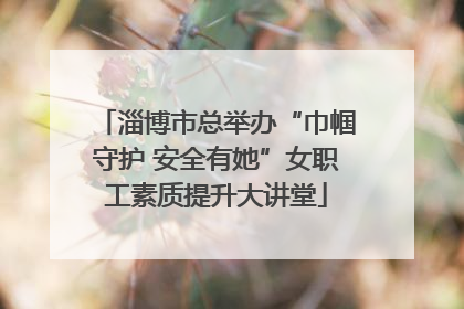 淄博市总举办“巾帼守护 安全有她”女职工素质提升大讲堂