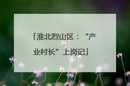 淮北烈山区：“产业村长”上岗记