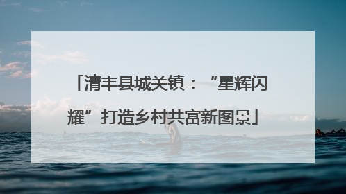 清丰县城关镇：“星辉闪耀”打造乡村共富新图景