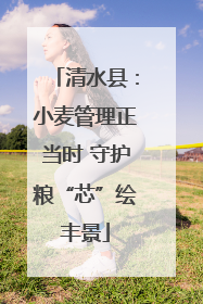清水县：小麦管理正当时 守护粮“芯”绘丰景