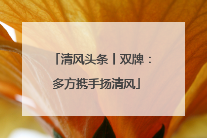 清风头条丨双牌：多方携手扬清风