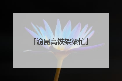 渝昆高铁架梁忙