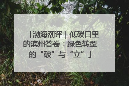 渤海潮评｜低碳日里的滨州答卷：绿色转型的“破”与“立”