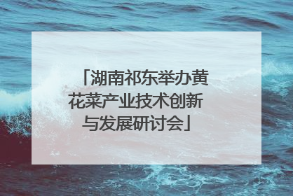 湖南祁东举办黄花菜产业技术创新与发展研讨会