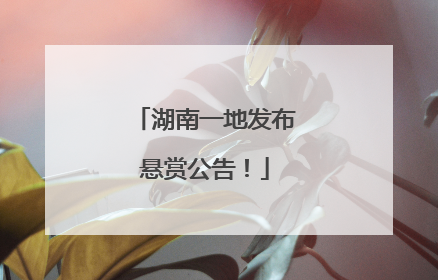 湖南一地发布悬赏公告！