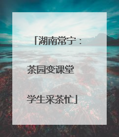 湖南常宁：茶园变课堂 学生采茶忙