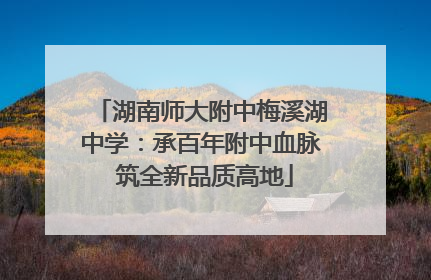 湖南师大附中梅溪湖中学：承百年附中血脉 筑全新品质高地