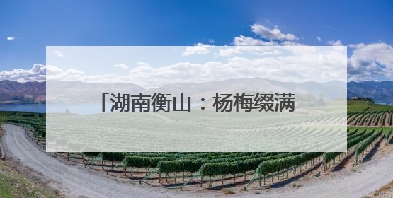 湖南衡山：杨梅缀满枝 采摘尝鲜正当时