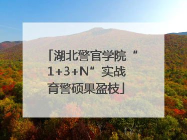 湖北警官学院“1+3+N”实战育警硕果盈枝