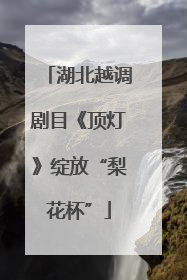 湖北越调剧目《顶灯》绽放“梨花杯”