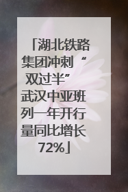 湖北铁路集团冲刺“双过半” 武汉中亚班列一年开行量同比增长72%