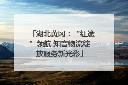 湖北黄冈：“红途”领航 知音物流绽放服务新光彩