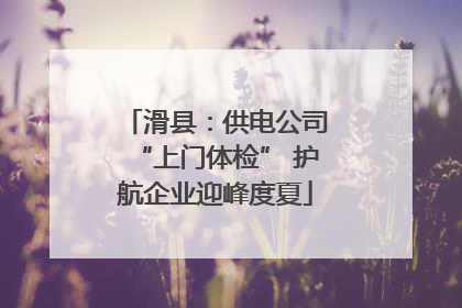 滑县：供电公司“上门体检” 护航企业迎峰度夏