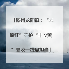 滕州龙阳镇：“志愿红”守护“丰收黄”夏收一线显担当