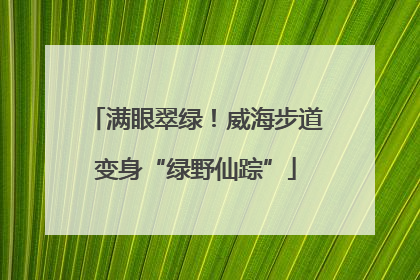 满眼翠绿！威海步道变身“绿野仙踪”