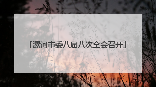 漯河市委八届八次全会召开