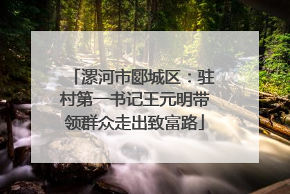 漯河市郾城区：驻村第一书记王元明带领群众走出致富路
