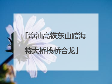 漳汕高铁东山跨海特大桥栈桥合龙