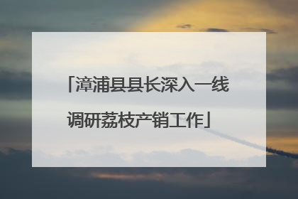 漳浦县县长深入一线调研荔枝产销工作