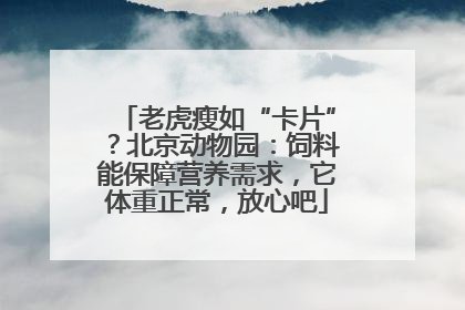 老虎瘦如“卡片”？北京动物园：饲料能保障营养需求，它体重正常，放心吧