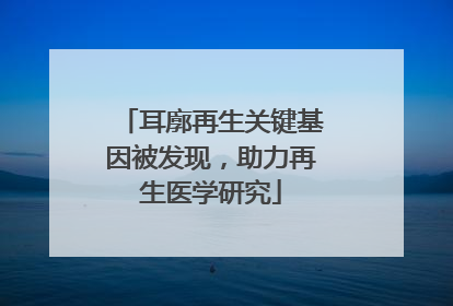 耳廓再生关键基因被发现，助力再生医学研究