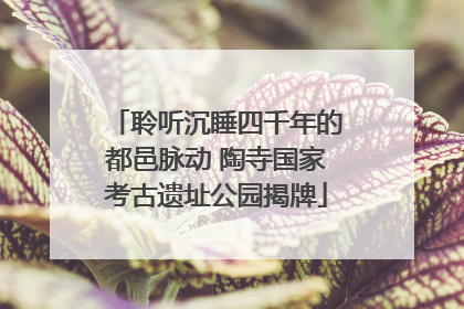 聆听沉睡四千年的都邑脉动 陶寺国家考古遗址公园揭牌