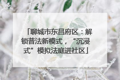 聊城市东昌府区：解锁普法新模式，“沉浸式”模拟法庭进社区