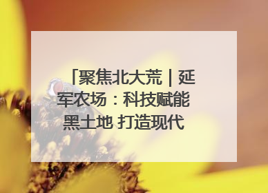聚焦北大荒｜延军农场：科技赋能黑土地 打造现代农业“智慧芯”