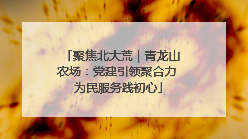 聚焦北大荒｜青龙山农场：党建引领聚合力 为民服务践初心