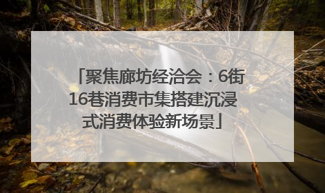 聚焦廊坊经洽会：6街16巷消费市集搭建沉浸式消费体验新场景