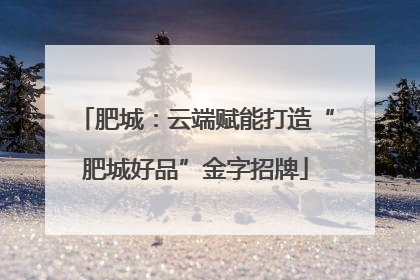 肥城：云端赋能打造“肥城好品”金字招牌