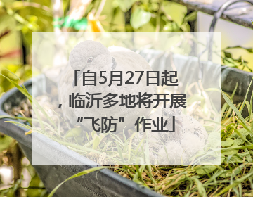 自5月27日起，临沂多地将开展“飞防”作业