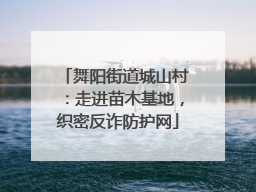 舞阳街道城山村：走进苗木基地，织密反诈防护网