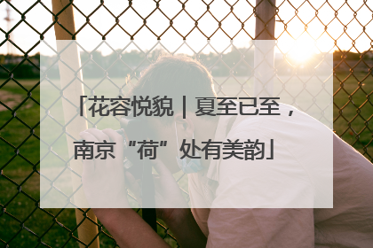 花容悦貌｜夏至已至，南京“荷”处有美韵