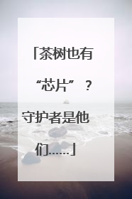 茶树也有“芯片”？守护者是他们……