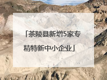 茶陵县新增5家专精特新中小企业