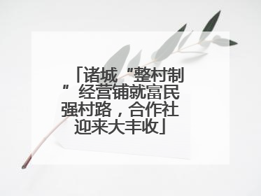 诸城“整村制”经营铺就富民强村路，合作社迎来大丰收