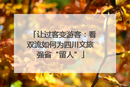 让过客变游客：看双流如何为四川文旅强省“留人”