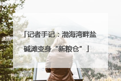 记者手记：渤海湾畔盐碱滩变身“新粮仓”