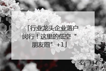 行业龙头企业落户闵行！这里的低空“朋友圈”+1