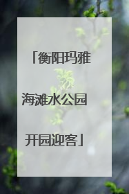 衡阳玛雅海滩水公园开园迎客