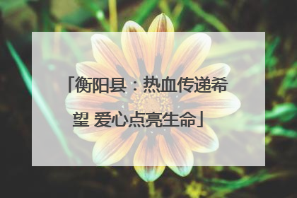 衡阳县：热血传递希望 爱心点亮生命