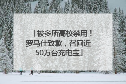 被多所高校禁用！罗马仕致歉，召回近50万台充电宝