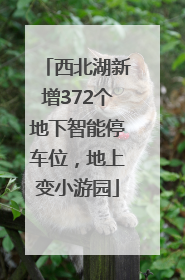 西北湖新增372个地下智能停车位，地上变小游园