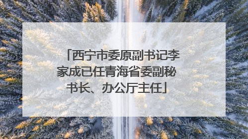 西宁市委原副书记李家成已任青海省委副秘书长、办公厅主任