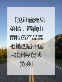 见证藏湘兄弟情：西藏山南特色产品亮相第四届中国-非洲经贸博览会