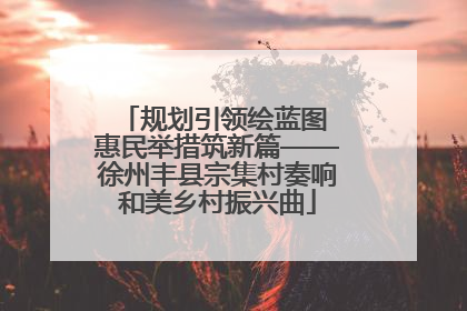 规划引领绘蓝图 惠民举措筑新篇——徐州丰县宗集村奏响和美乡村振兴曲