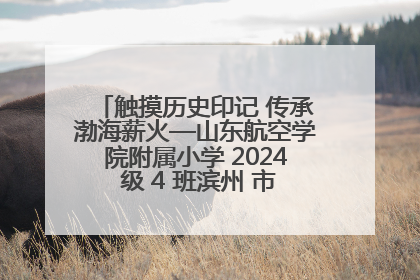 触摸历史印记 传承渤海薪火—山东航空学院附属小学 2024 级 4 班滨州 市档案馆研学实践活动