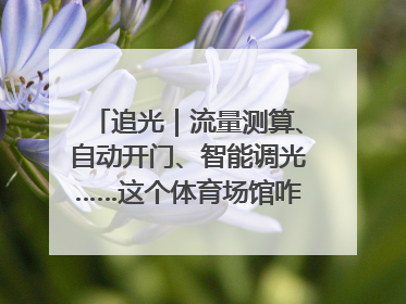 追光｜流量测算、自动开门、智能调光……这个体育场馆咋这么先进？